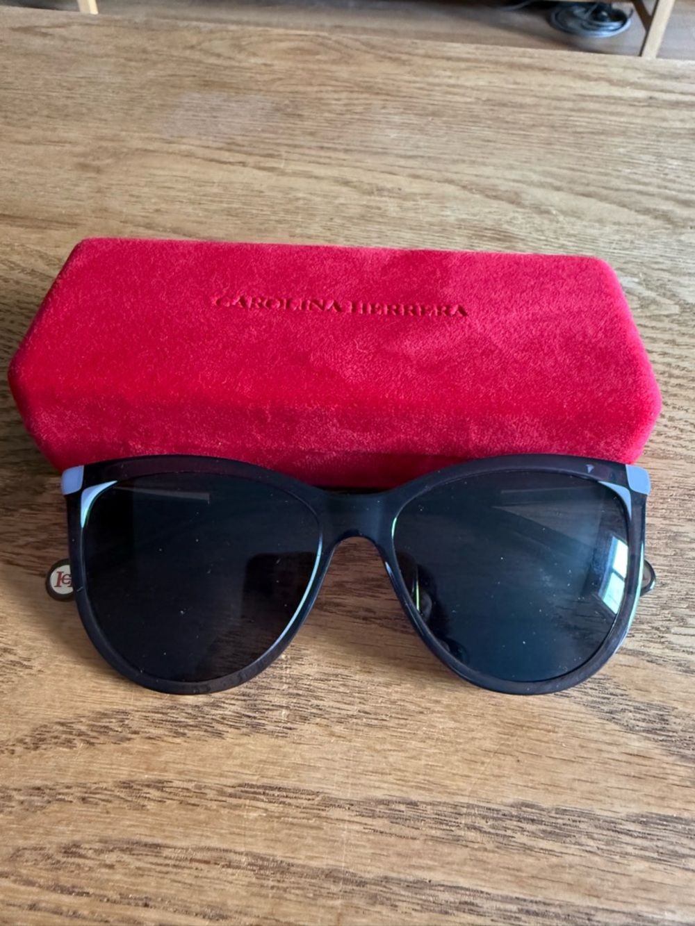 Carolina Herrera Dark Grey Women's Oversized Sunglasses